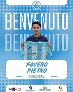 Favero Favero